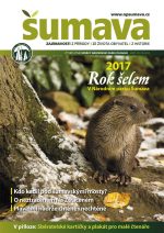 sumava-jaro-201701.jpg