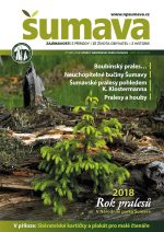 sumava-jaro-201801.jpg