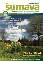 sumava-jaro-2021.jpg