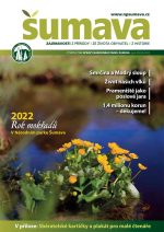 sumava-jaro-2022.jpg