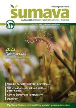 sumava-leto-2022_obalka-2.jpg