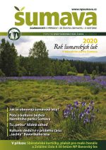 sumava-leto2020.jpg