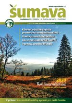 sumava-podzim-2020_01.jpg
