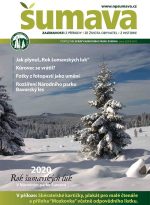 sumava-zima-2020.jpg